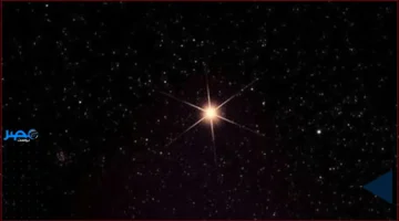 نصائح مهنية لبرج العقرب: كيف تعزز الثقة والتركيز لتجاوز الأزمات؟